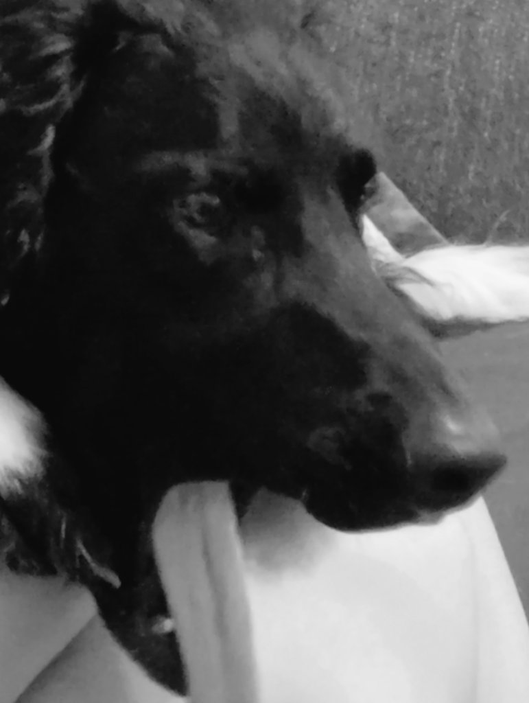 mitrebox tweet media