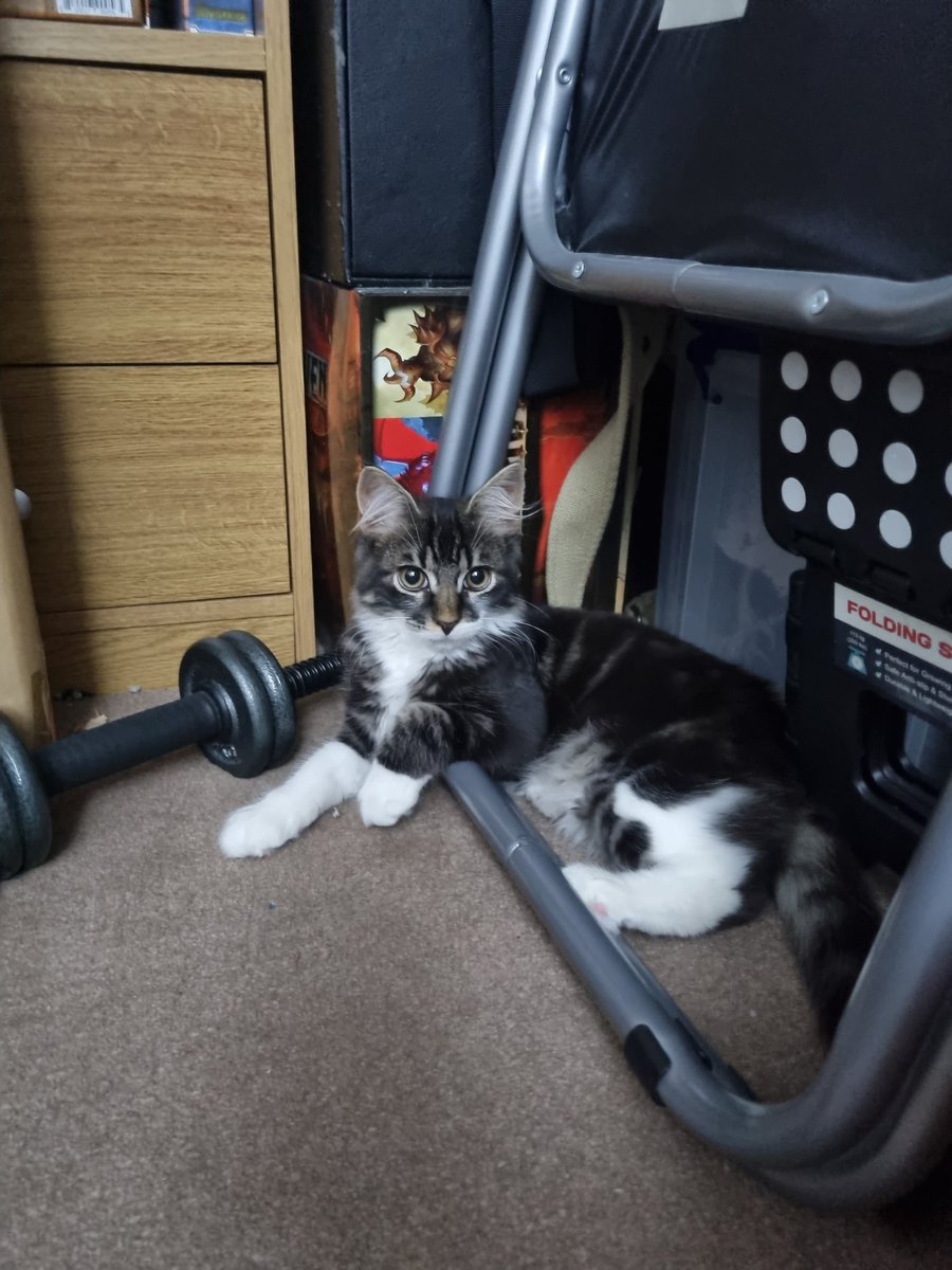 Loopy Fiasco tweet media