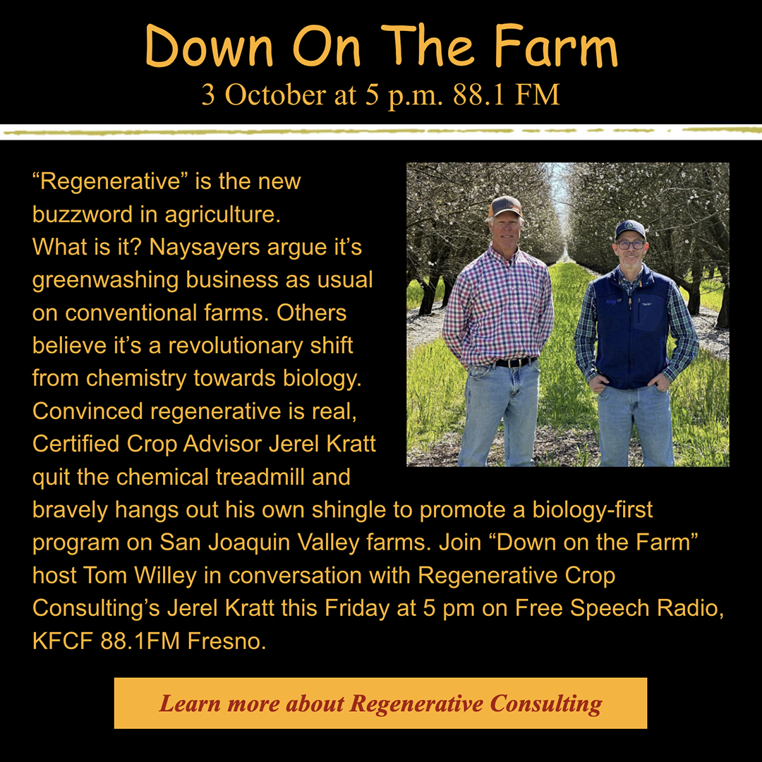 Listen to the  Down on the Farm radio show with Tom Willey on Friday, October 3 at 5 pm PST, on KFCF 88.1 FM Fresno!
bit.ly/474Fwim

#regenerativeagriculture #regenerativefarming #DownOnTheFarm