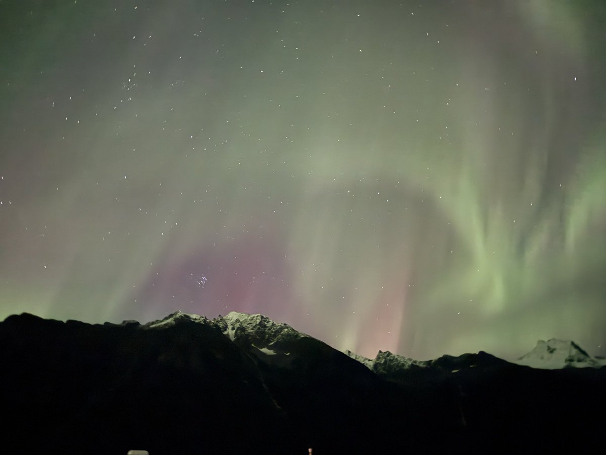 deerdogaspen's tweet photo. Seeing the northern lights has been a dream of mine for as long as I can remember, last night dreams came true for me and @reesethecollie!! https://t.co/f8o9onIhAO