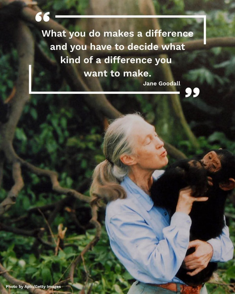 LabRajeev's tweet image. Two inspirational quotes for the day 🙏
#JaneGoodall #GandhiJayanti #MahatmaGandhi #Nature