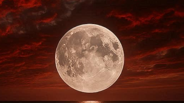 حرف 𝕏 ومعنى tweet media