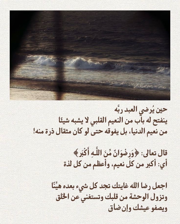 صالح الشريف (@s__alshreef) on Twitter photo 