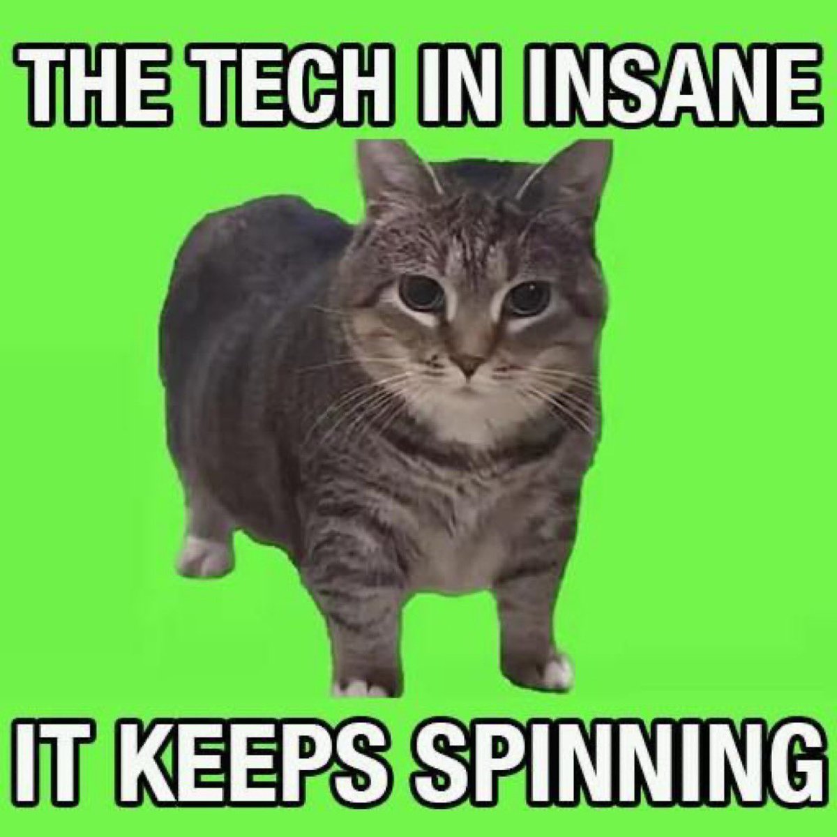 circlesized tweet media