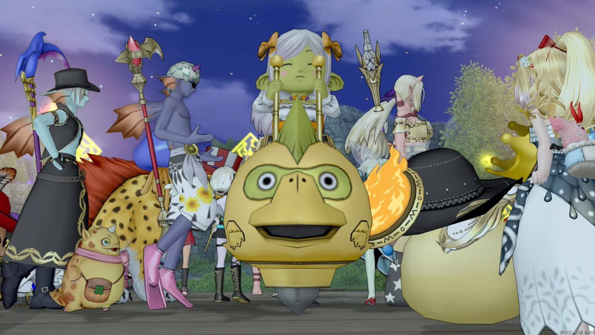 おはようございますだぬ

ドルボレースをしました🏁