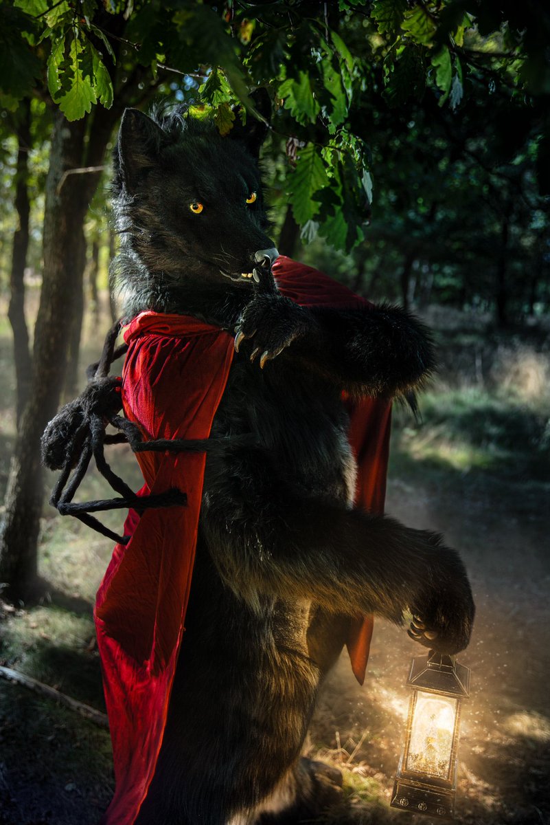 thuamas's tweet photo. Psssst, did you know it’s October now.  Be quiet or the monsters will get you.
#weretober #wolf #Werewolf https://t.co/HEva42Rw4O