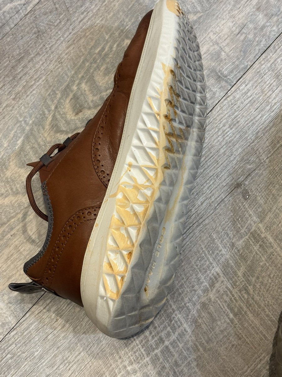 Todd Dragity tweet media