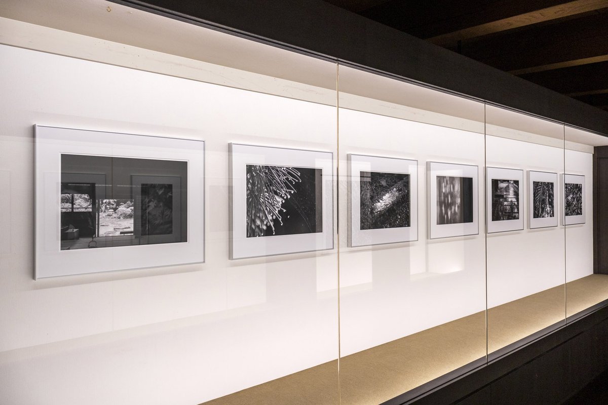 yukusanagi's tweet photo. 山形県長井市「文教の杜ながい 旧丸大扇屋」にて、写真展「水に浮かぶ」を開催しております。今回は全て撮下ろしの新作による個展となります。

歴史ある空間と写真の共鳴をぜひお楽しみいただければ幸いです。
現代作家の見た長井 2025 「草彅 裕_水に浮かぶ」
https://t.co/RIXCcq8hnw https://t.co/3jmF1z6r8N