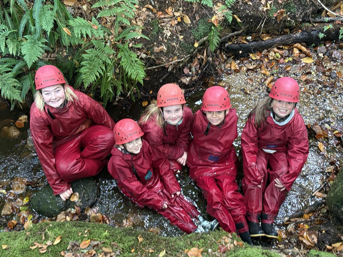 Stoke Hill Fed tweet media