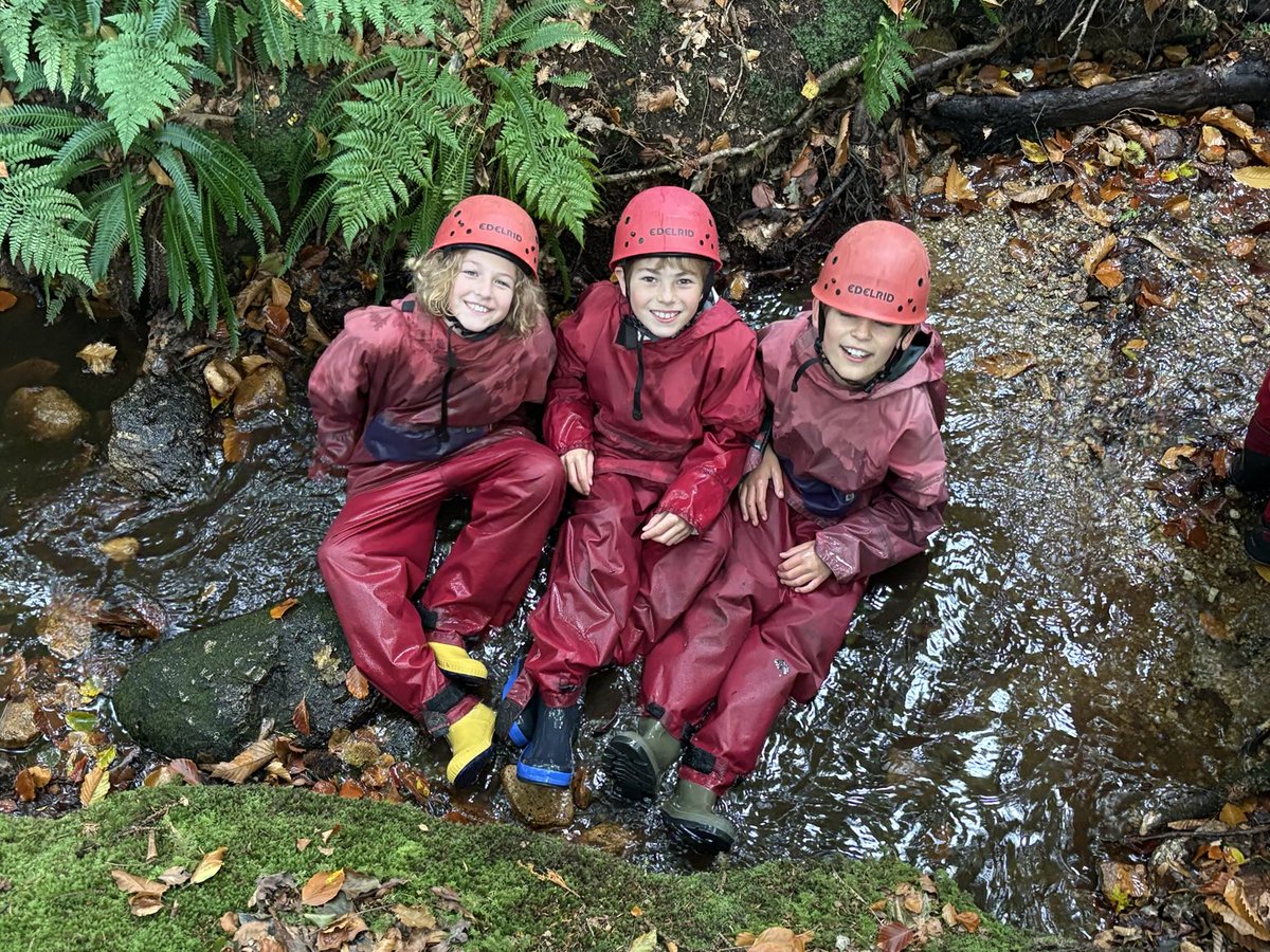 Stoke Hill Fed tweet media