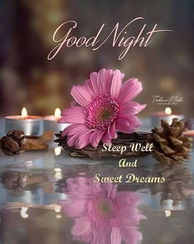 Good night! Sleep well! 💕😴😴💕