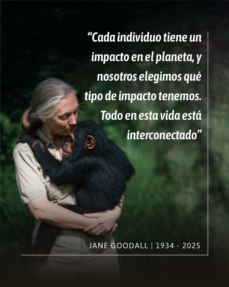 Corp.Norte Grande tweet media