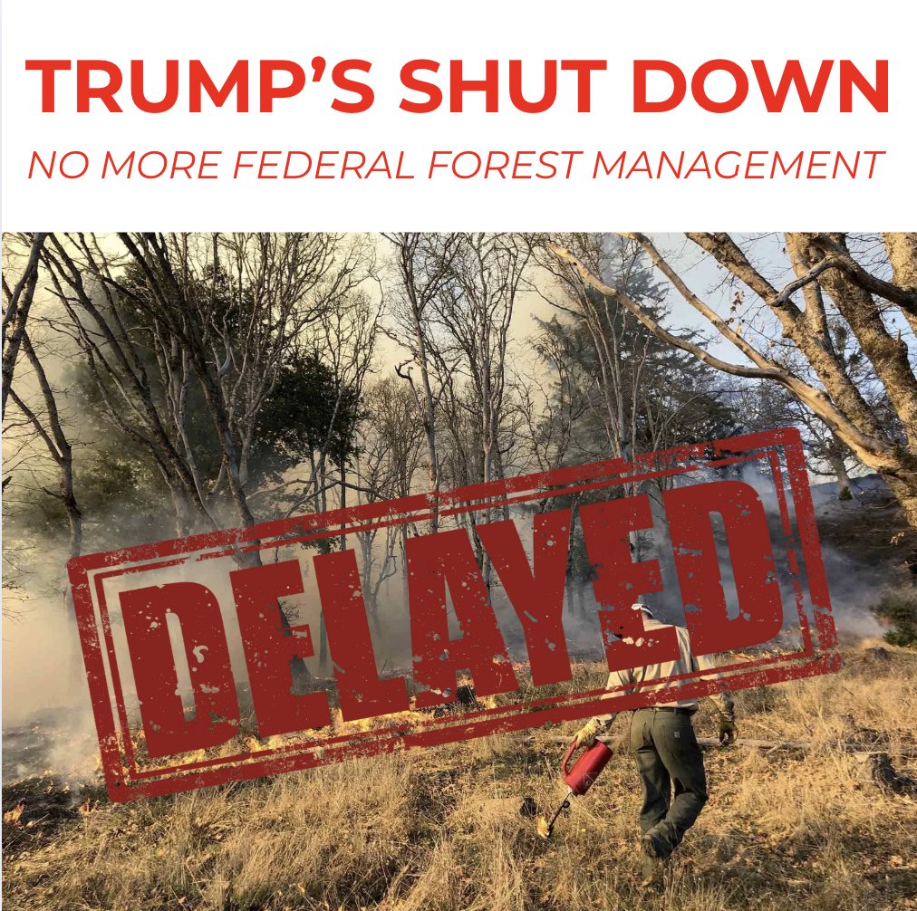 Governor Newsom Press Office tweet media