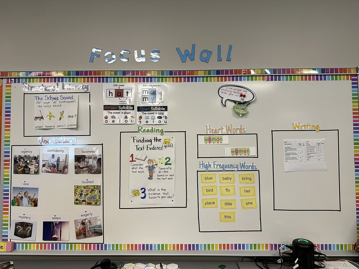 Emily Angelilli, M.Ed tweet media