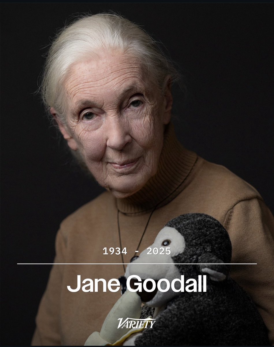 Cindy Kaza tweet media