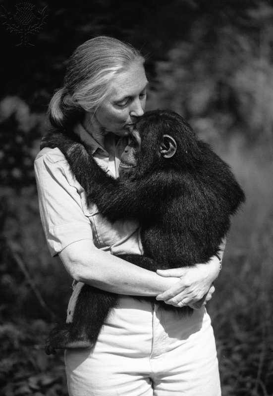 Hasta siempre 🖤
#JaneGoodall