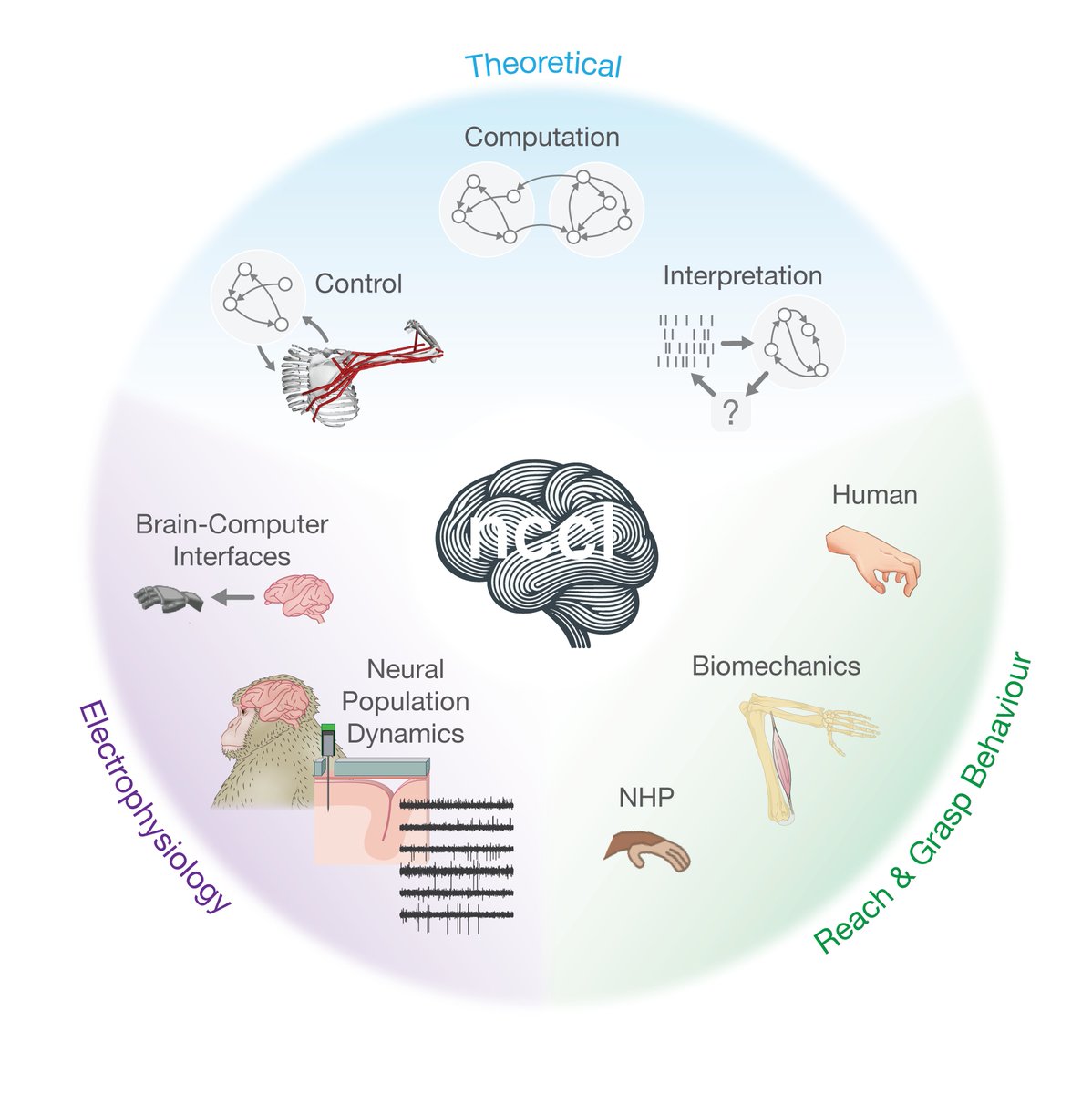 The neural control &amp; computation lab is recruiting!

If you're interested in using large-scale neural population recordings to study how the brain learns to produce complex and flexible behaviours, please get in touch.

ncclab.ca