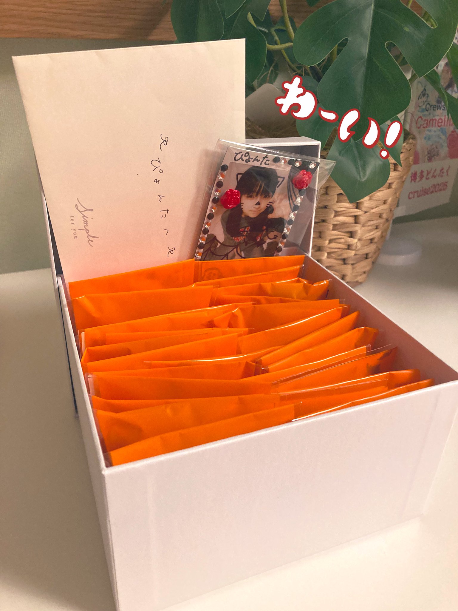 ぴょんた on X: 