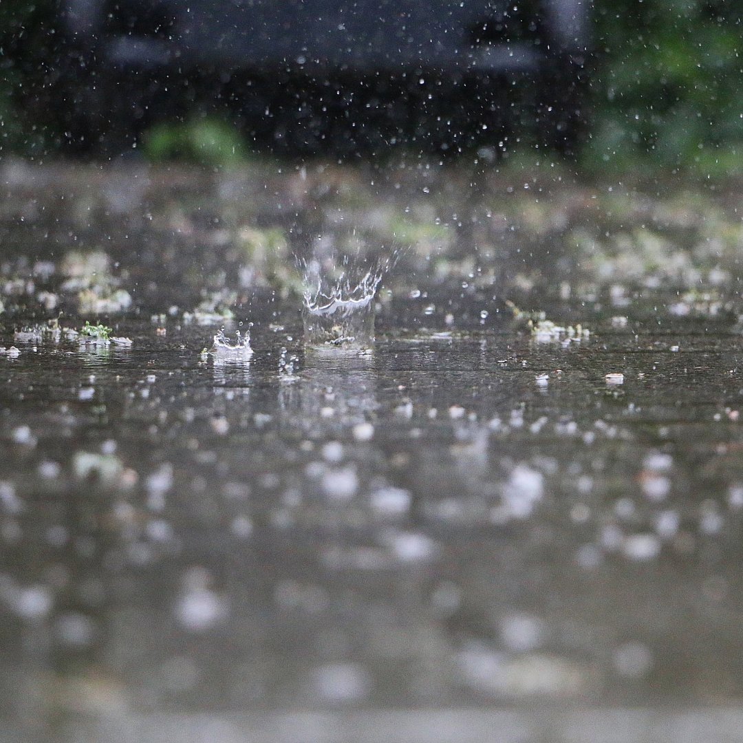 Enjoying the rain? 🌧️

When it rains, water carries pollutants and debris to storm drains, and eventually the Tualatin River. We have tips to help you keep the Tualatin River healthy this rainy season

Learn more about stream-friendly solutions - cleanwaterservices.org/community-home…