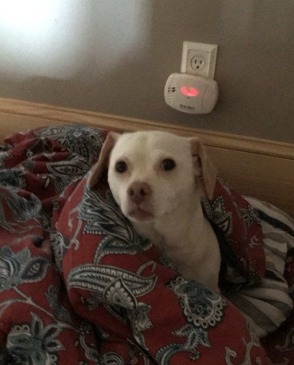 jennifer kissme tweet media