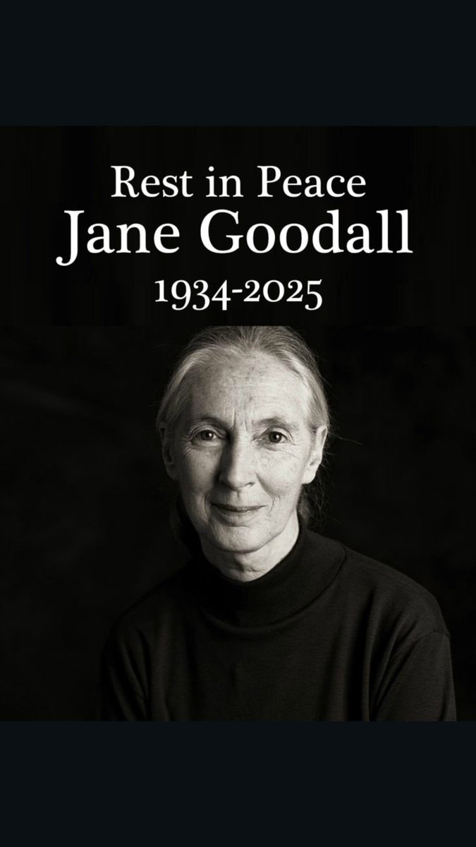 #thankyouJane
#RememberingJane

JaneGoodall.ca/RememberingJane

📷 Thank you to @DavidAttenborough_fans for creating &amp; sharing this image.
