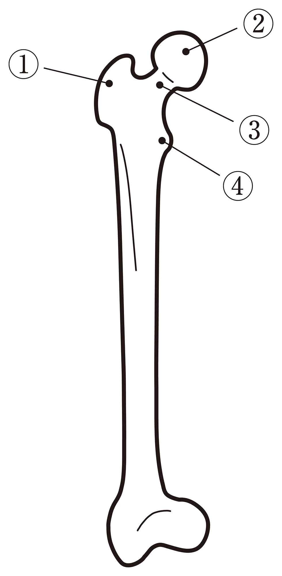 書き込みなし⭐︎ 看護過去問多数　⭐︎ 看護roo!国試@必修過去問 (@kangorookokushi) / X