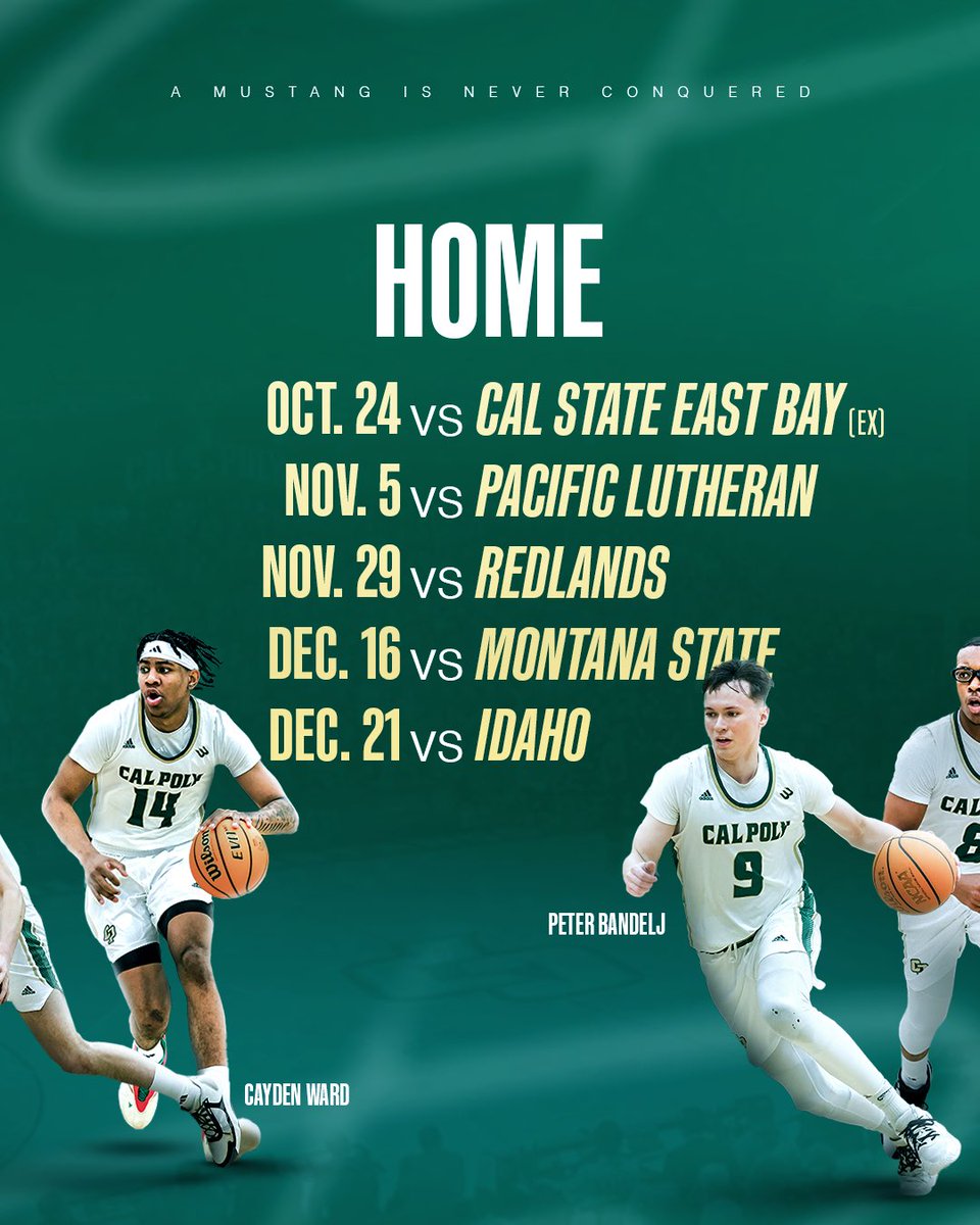 calpolymbb's tweet image. Non-Conference Schedule hot off the press! 📅
Get your season tickets and view the full schedule at GoPoly.com/tickets
#RideHigh