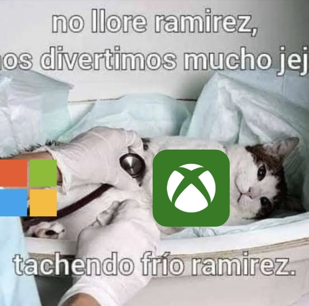 Nos tocó vivir en el universo donde compraron Activision y no Square Enix.