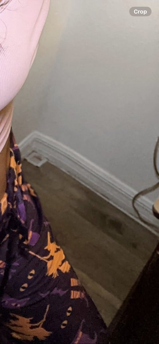 Finch-HIMself tweet media