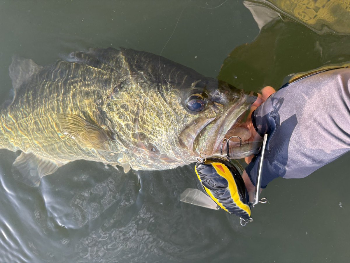 ノーバイト　ヒレミノー　nobite ノーバイト ヒレミノー nobite