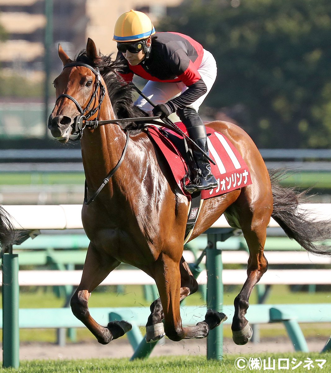 藤原サトノダイヤモンド 新馬戦〜天皇賞・春２歳から４歳国内全１０戦現地単勝 藤原サトノダイヤモンド 新馬戦〜天皇賞・春2歳から4歳国内