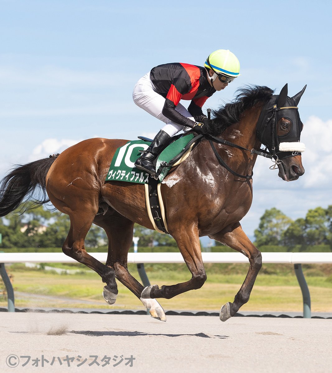 藤原サトノダイヤモンド 新馬戦〜天皇賞・春２歳から４歳国内全１０戦現地単勝 藤原サトノダイヤモンド 新馬戦〜天皇賞・春2歳から4歳国内