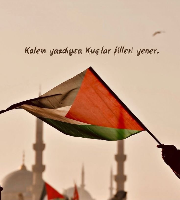 nrozturkkk_'s tweet photo. #MyAgendaSumud 

Sumud filosu için ,Filistin için uyuyamayanlar… https://t.co/Js02JEQvIj