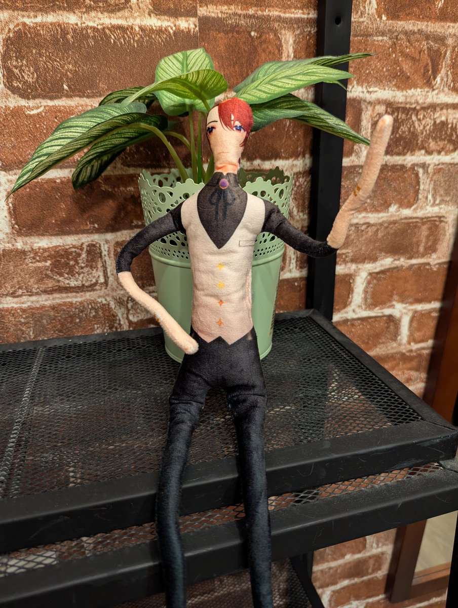 h e y a  k i t t e n s