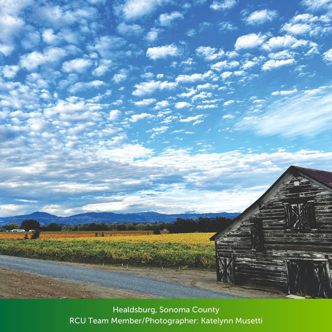 It's that time of year again! The leaves are starting to turn and fall is in the air. What are you most excited about for autumn? 🍂