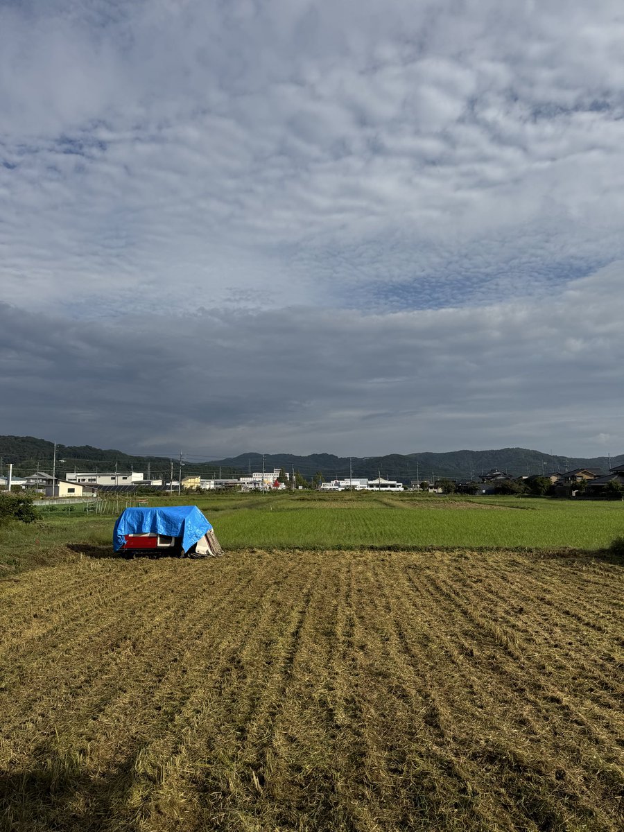 norisuke0308's tweet photo. 14℃、寒い朝🥶

季節が急に進んだ感じ🍂

もう40年前だって…
当時は大学生でカローラのオートリバースのカーステレオでずっと聴いてたなぁ🎶

#eyes
#GROWIN’UP https://t.co/do5ECP3oj8