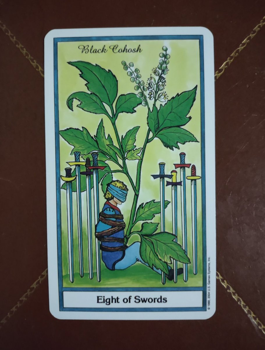 TanriaElemental's tweet photo. Black Cohosh is associated with love and relationships, with a focus on feminine energy. It’s used in the pursuit of wisdom, protective magic, and banishing spells. Using it to strengthen or balance energetics in a home is an easy spell, just sprinkle some around the perimeter. https://t.co/m1Rc1VzmPZ