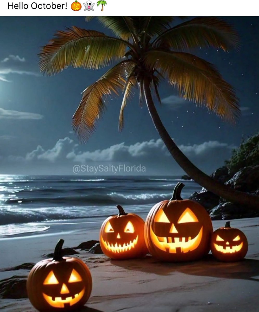 Manda_80sFanGrl's tweet image. Now this is a picture I l🎃ve!!!! ❤️🎃🏝️#happyfall