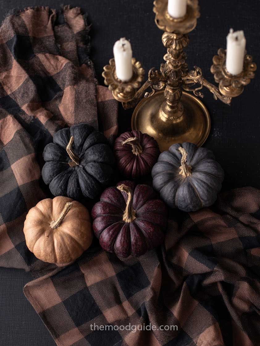 unpaidactor1's tweet image. #October1st #x #pintrest