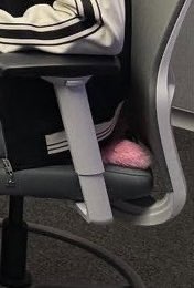 sunnychaoslou's tweet image. is that a pink pillow on his seat so he can looks taller? 😭😭