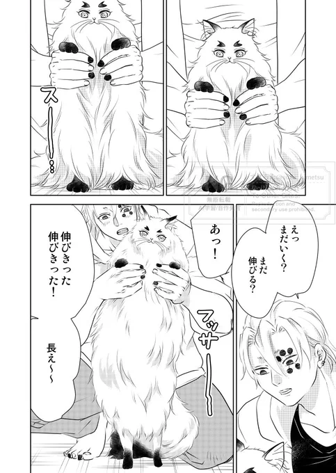 猫レンゴクのいる暮らし)伸びる 