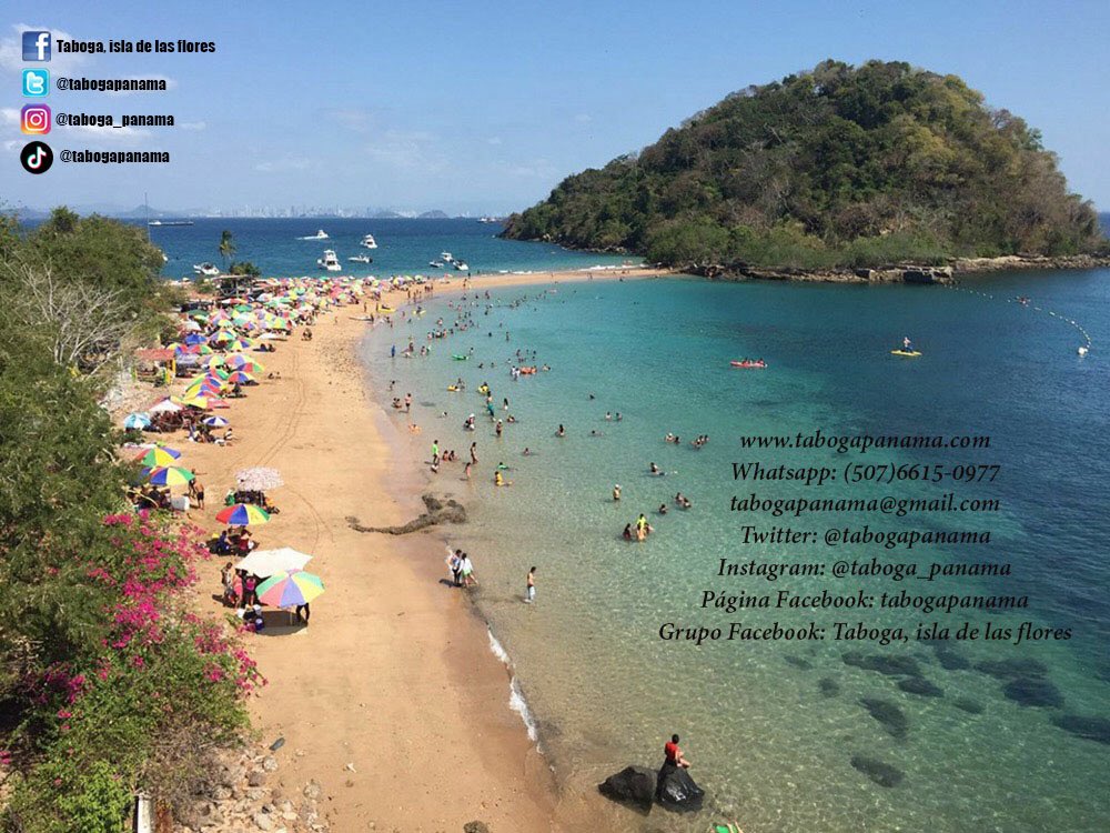 tabogapanama's tweet photo. @verito_eka @abdalabucaram *Buenas, somos #TabogaPanama una página dedicada a la promoción de Taboga.
Nuestra página sobre información de la isla, barcos, que hacer, también tenemos hostales, cuartos en casas, hoteles, villas y casas completas.
En qué estaría interesado? https://t.co/s83Q3NhULN
