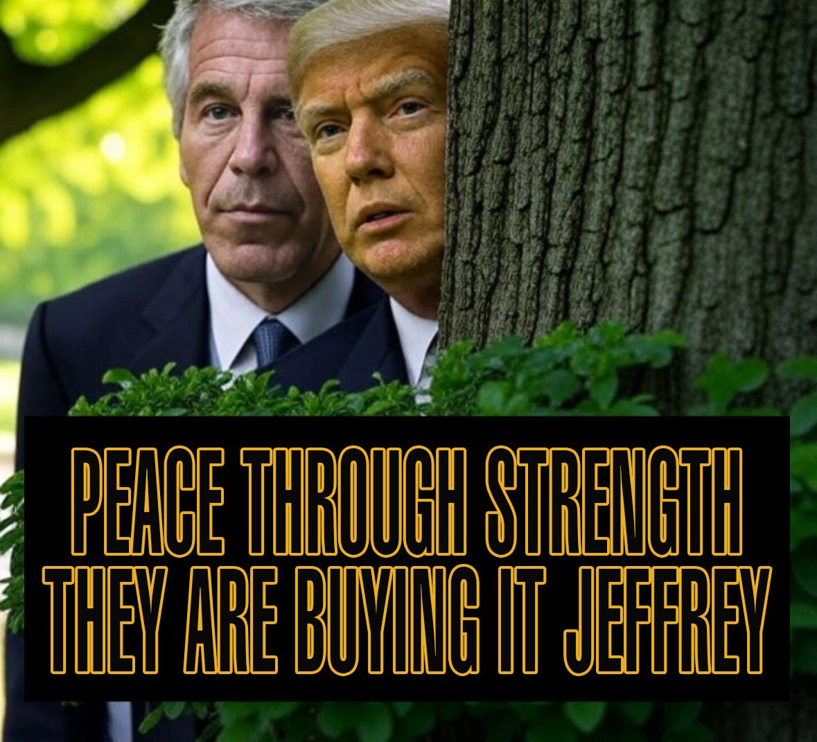 305MRFIXIT's tweet image. &quot;The President is unwell&quot; is what I&apos;m hearing, A LOT lately... AND I SEE IT TOO...!!!
#DoWhatIsRightNotWhatIsEasy #EpsteinSurvivors