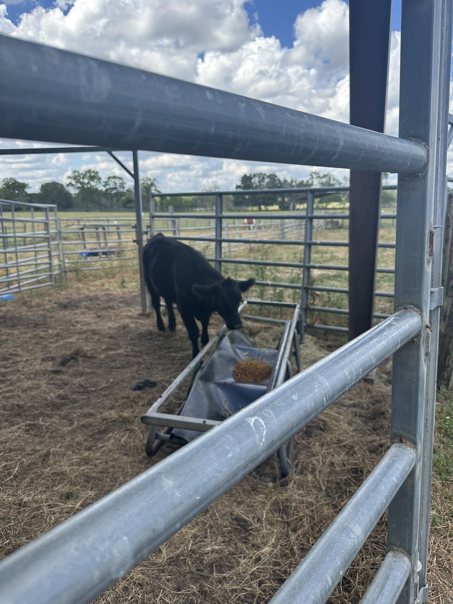••PANTHER ALERT••What happens when Lecanto has a 1/2 day?students go home and the LHS staff continues to grow as the entire CTE dept. toured the LHS Farm &amp; visits the welding center. Learning &amp; appreciating what each other does. Thank you, Steve Richardson &amp; Joseph Guth #TPW