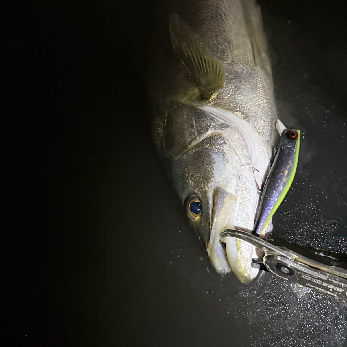 あつや (@sea_sea_0722) / Posts / X