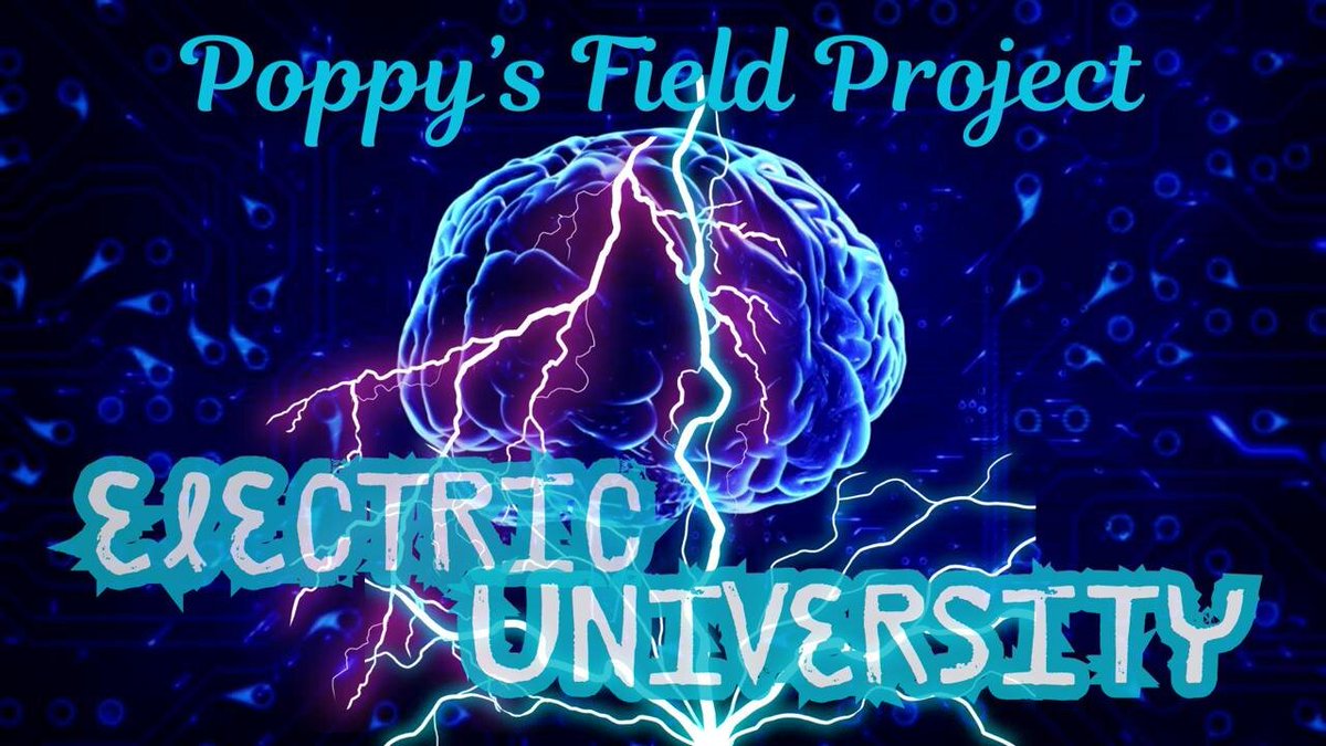 imt_network's tweet image. 10/01/2025 Poppy&apos;s Field Project dlvr.it/TNQ8rG #PoppysFieldProject #Podcast #ElectricUniverse