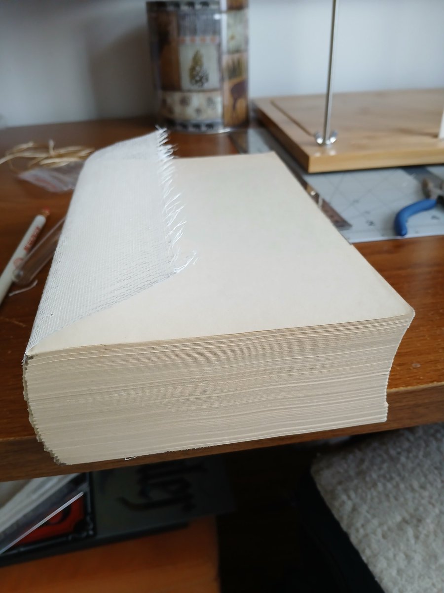 Pusok Robert tweet media