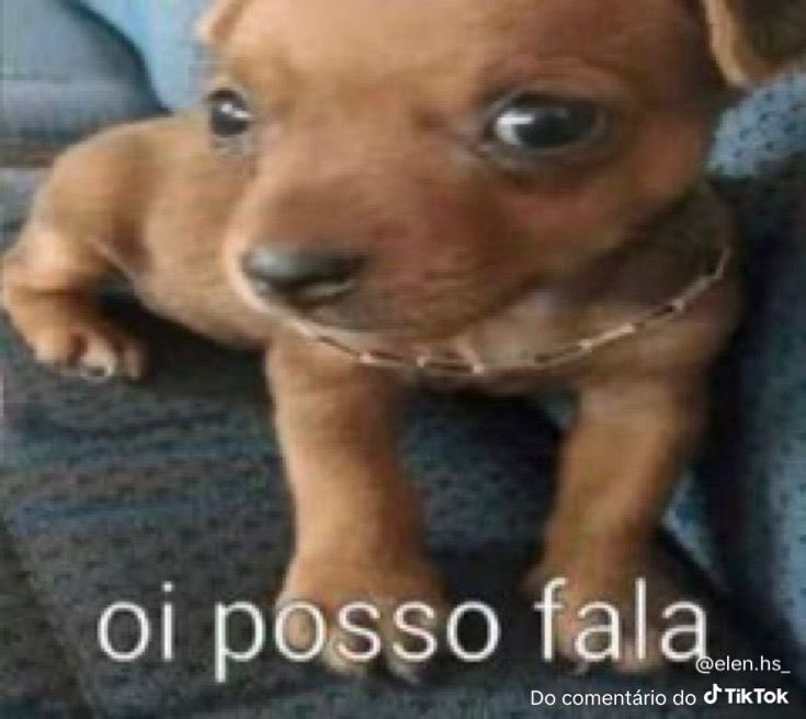 dropei o apple music