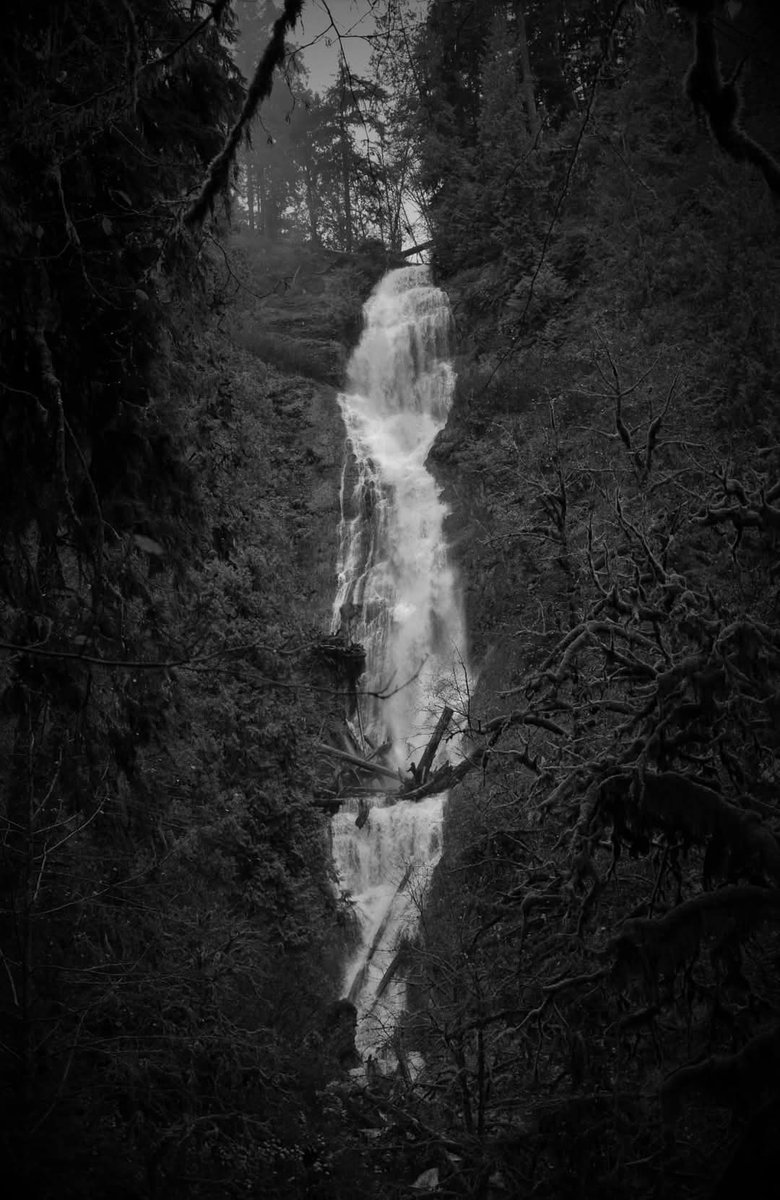 Don't go chasing waterfalls