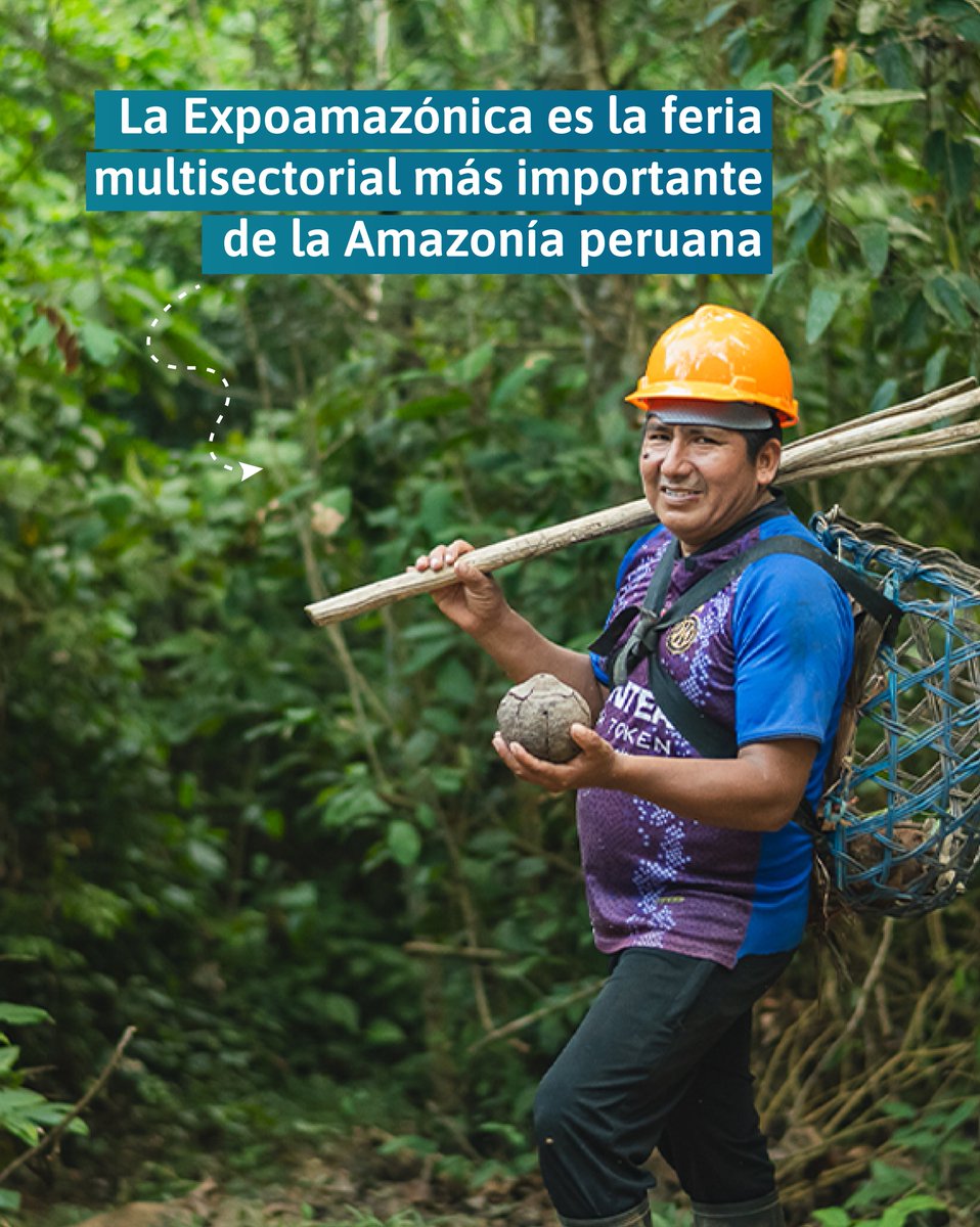 ProgramaBosques's tweet image. #NotaDePrensa
🌿Programa BOSQUES del @MinamPeru presentará productos orgánicos y sostenibles en Expoamazónica 2025.
👉🏻Lee la nota completa aquí: gob.pe/institucion/bo…
#ExpoAmazónica2025 #ProgramaBosques #15AñosPorLosBosques